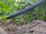 Got suspended well my account frozen on imlive 15/16