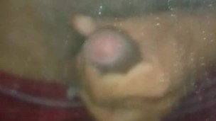 Leitinho fresco