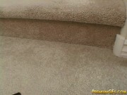 Sweet Amber Photoshoot 11/16