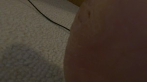 Bear's Socks and Workers Feet Closeup