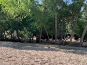 Nudest mountain ranch. The best video on the internet. 2/16