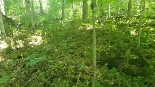 Morning Masturbation And Getting Momentarily Lost In A Municipal Forest