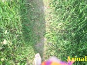 A walk in the park ended unexpectedly 11/16