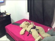 Hot white girl was so horny so she fucks her teddy with strapon 8/16