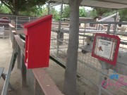 Car sex with super hot hairy babe Sia Wood blowjob and fucked - hairy pussy and armpits 2/16