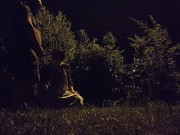 Whore Exhibitionist Wife taking piss in mouth by busy road 11/16