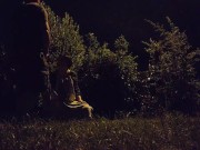 Whore Exhibitionist Wife taking piss in mouth by busy road 13/16