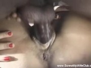 Thresome For Swinging House Wifey Who Cuckolds Her Husband 4/16