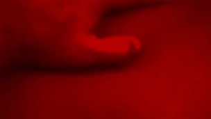 Puse en 4 a mi novia y le encanta que le de verga