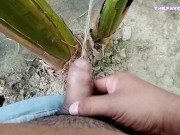 我在香蕉里撒尿感觉很好。 3🌱 10/16