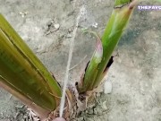 我在香蕉里撒尿感觉很好。 3🌱 5/16