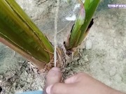 我在香蕉里撒尿感觉很好。 3🌱 9/16