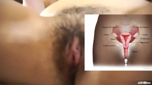 Educación Sexual: Diferenceia entre "vulva" y "vagina" y las partes