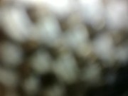 Closeup hard fucking milf, big moaning and slapping her face 4/16