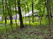 A stranger in the park fucked a Muslim girl in the mouth 1/16