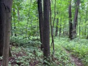 A stranger in the park fucked a Muslim girl in the mouth 7/16