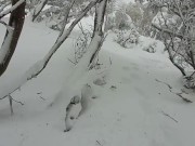 BJ in the snow - El takes G's load on the mountain! 10/16