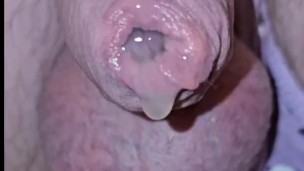 Prostate milking with a dog toy sped up and slowed down