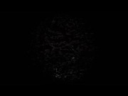 golden shower boys 6/16