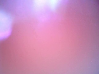 Endoscope details – hole balls cock foreskin belly nipples mouth sperm