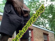 Catch That Nut - Screenshot 2 of 16 - Uncut