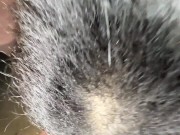 POV Fucking Big Booty Bimbo Halle Hayes - Steve Rickz 3/16