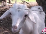 Lesbian nina solo 1/16