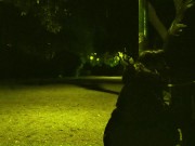 My husband took me for a walk in the park with a leash around my neck. Then he wanted me to suck 1/16