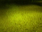 My husband took me for a walk in the park with a leash around my neck. Then he wanted me to suck 10/16