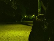 My husband took me for a walk in the park with a leash around my neck. Then he wanted me to suck 3/16