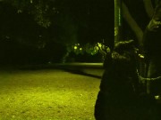 My husband took me for a walk in the park with a leash around my neck. Then he wanted me to suck 7/16