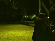 My husband took me for a walk in the park with a leash around my neck. Then he wanted me to suck 8/16