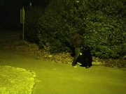 Fat dick needs to get rid of the cum and that's where I come in. I sucked a fat dick in the parking 11/16