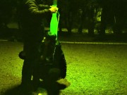 me on a leash like a dog while the traffic passes around us and anyone can run into us... priceless. 8/16