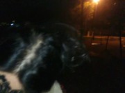 Leather jacket public blowjob 16/16