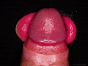 CLOSE UP POV: FUCK My Perfect LIPS with Your BIG HARD COCK and CUM In MOUTH! Balaclava BLOWJOB ASMR 4/16