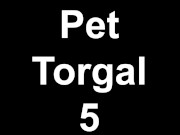 YOU CAN PET THE DOG - Pet Torgal 5 times - TLDR GUIDE - Final Fantasy 16 (XVI) 6/16