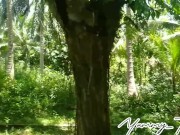 Max Doggy sa Kakahuyan - Outdoor 2/16