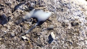 Piss on my cum in the abandoned place