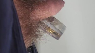 Taking a piss