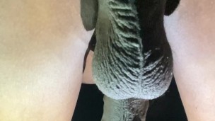 Softdick