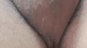 Paja mostrando testiculos