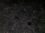 We fucked in my parents yard while they were in the house - Lesbian_illusion