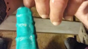 XXXL Seahorse