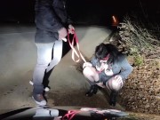 Piss Whore in dog collar receives golden shower and hot cum in her mouth in a public road interrupte 7/16