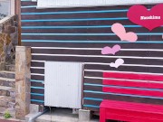 美しい風景、美味しいごはん、なっちの入浴 12/16