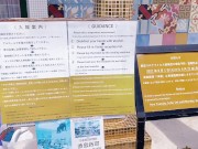 美しい風景、美味しいごはん、なっちの入浴 14/16