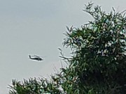 兩架直升機盤旋 10/16