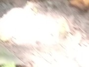 Have no clue as always looks promising tho/ lmao its mi armadilla family yo 1/16