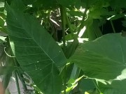 Have no clue as always looks promising tho/ lmao its mi armadilla family yo 10/16